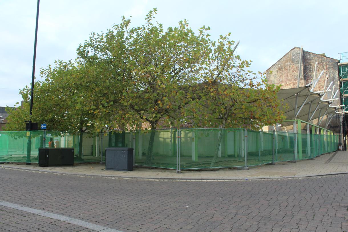 Triangle Trees for the Chop? | Lowestoft Old and Now