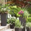 planter