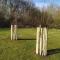 Dip Farm tree planting