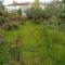 photo: shed site