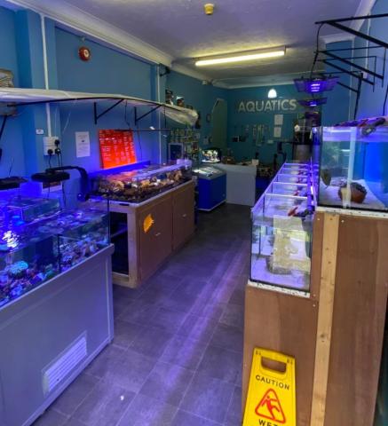 fish shop