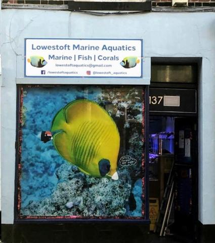 fish front