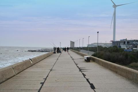 Ness Point