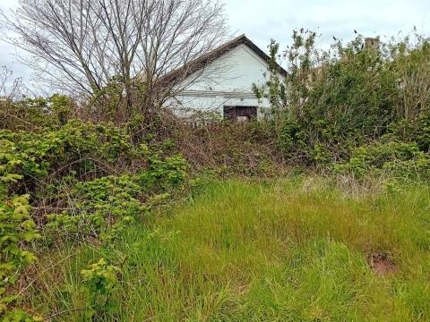 photo: shed site. The dream is in the distance
