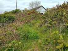 photo: site of new shed