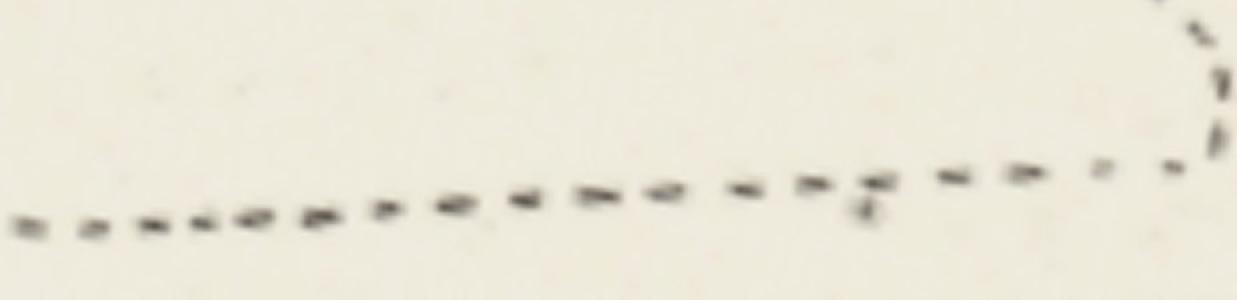 E11